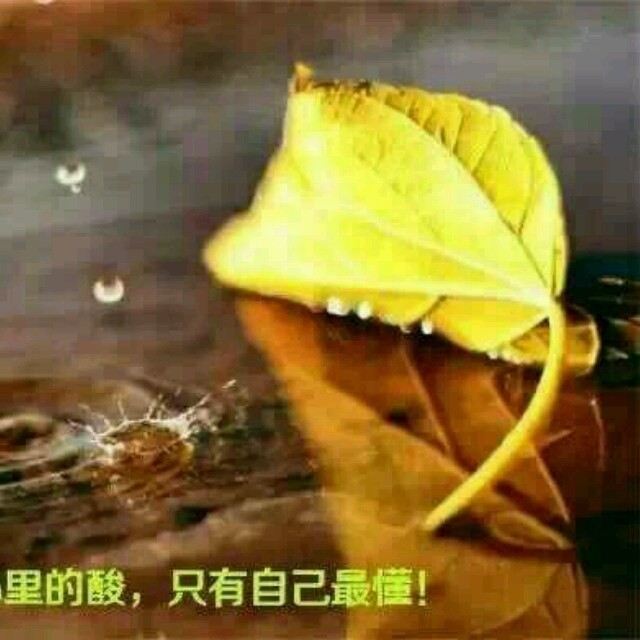 969109 唯爱