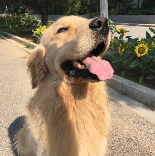 969133 后来