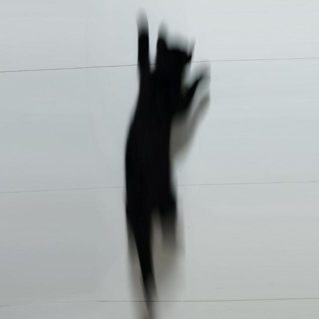 96919  寒夜