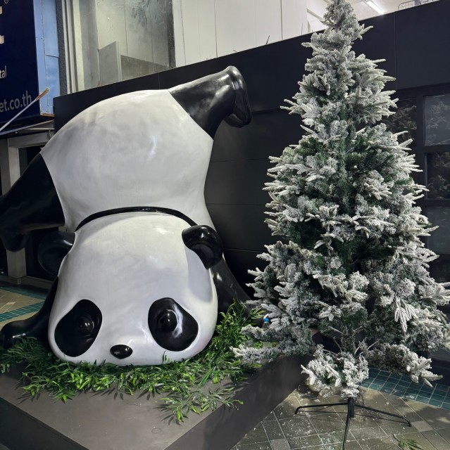 969406 红桃Q花贝白条话费