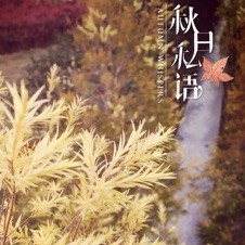 969473 硝化甘油