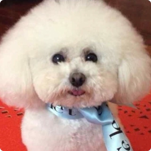 969677 Queenie