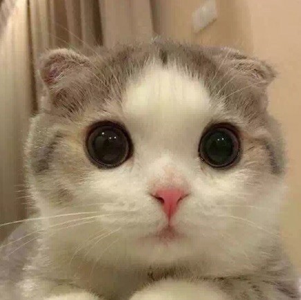969852 袖子
