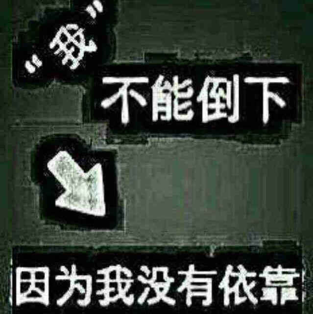 969958 玉树