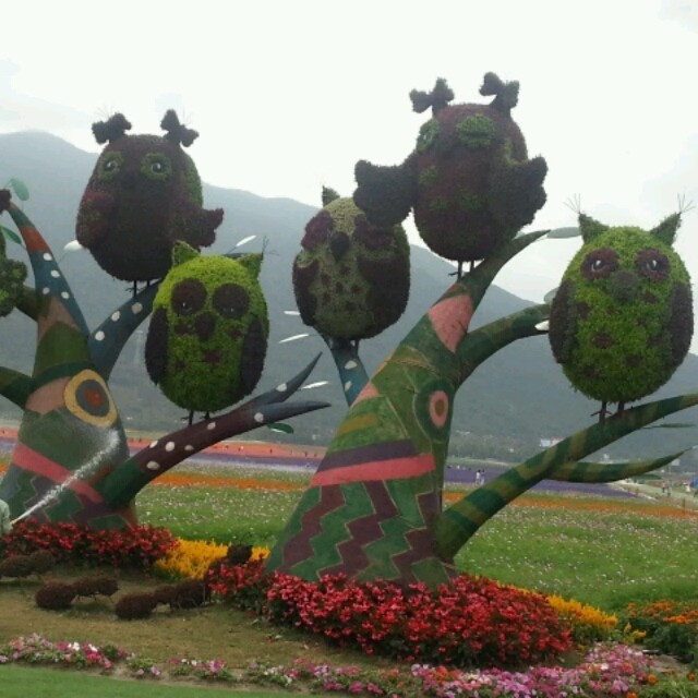 970725 ④疾¤风¤草