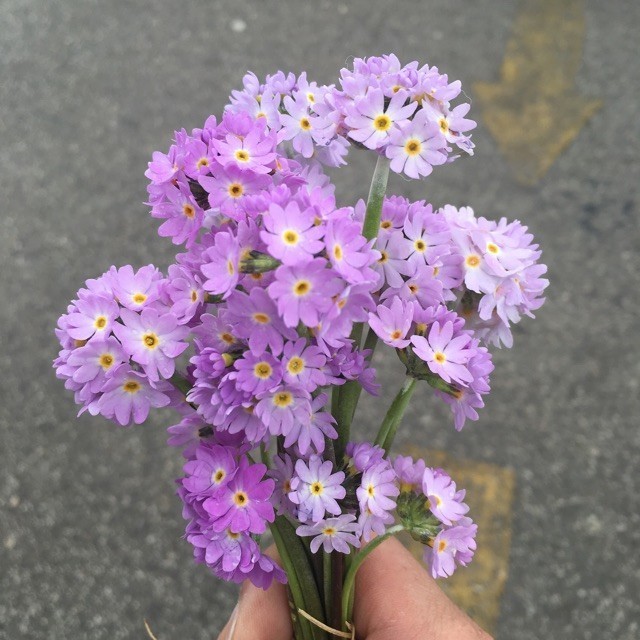 970737 Ｗǒ还不夠屌