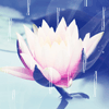 971031 水云涧