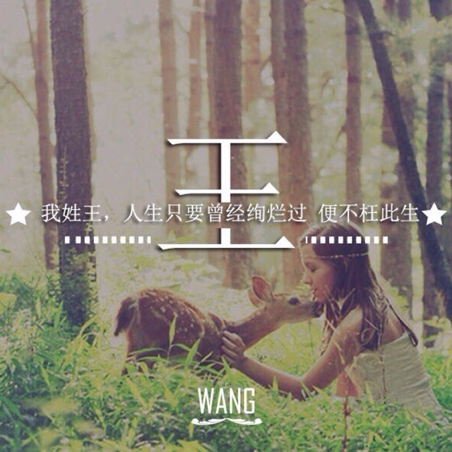 971591 Wang