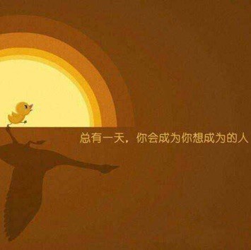 971774 朝阳