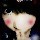 972687 ご底线/love