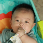 97345 viv