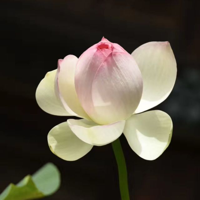 97555 ★闲人‰