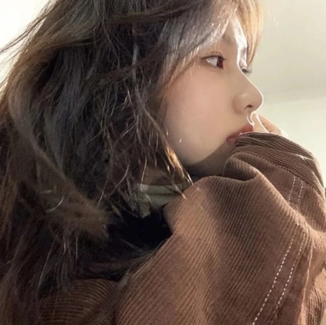 97798 南风微涼