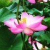 99047 西拉木伦