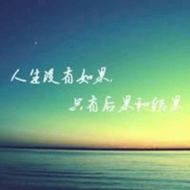 99128 烟敛寒林