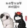 QQ头像