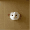 99876 觉醒的春村哥
