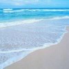小海豚_34177595