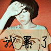 小海豚_41308747