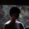 小海豚_43585745