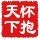 小海豚_42552136