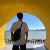 小海豚_22243527