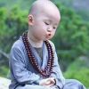 微信小海豚_22510753