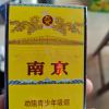 小海豚_40001465