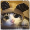 蓝伶俜