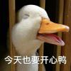 沉默永恒