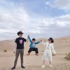 微信小海豚_28623081