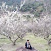 小海豚_22218113