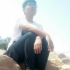 小海豚_32515776