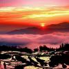 小海豚_38935985