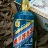 小海豚_37580940
