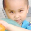 小海豚_42080156