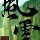 小海豚_30459970