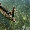 小海豚_39353741
