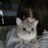 独家♪记忆♩