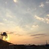 小海豚_32841039