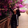 等一伦花开