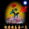 随缘（伪装自己）