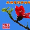 怀念过去