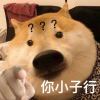梦中久违的...