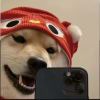 独1515...