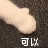 平凡的才是...