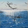 「面向阳光」