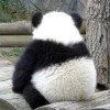 一个孤傲的boy