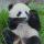 东方※紫汐