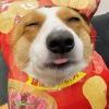 ＠东方在起